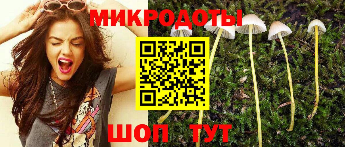 Галлюциногенные грибы Magic Shrooms Кувандык